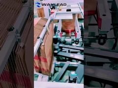 Macchina automatica per l'imballaggio delle bottiglie a 0,2 kW