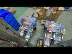 Macchina di imballaggio completamente automatica per confezionamento di ciambelle da 10 a 80 sacchetti/minuto con sistema operativo automatico PLC