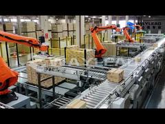 Pallettizzatore automatico Robot di pallettizzazione