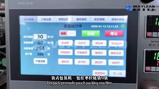 Confezionatrice veloce per sacchetti liquidi WG250