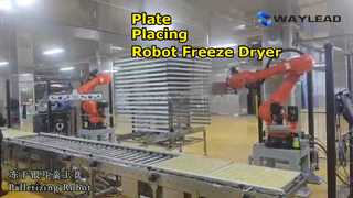 Confezionatrice automatica per liofilizzatore con robot per il posizionamento delle piastre