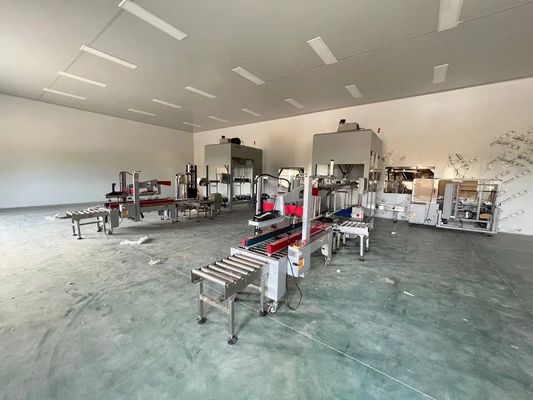 Funzione di formazione Linea di imballaggio automatico 35-150 sacchetti/min Per cartone 250-350g/m2