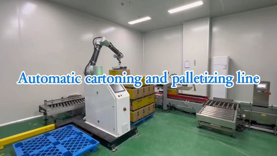 WG300 Soluzione per linee di imballaggio automatiche alimentari industriali SUS304