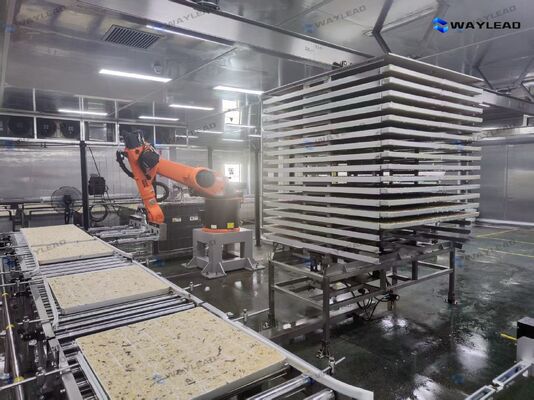 Robot automatico ad alta efficienza per il posizionamento di piastre personalizzato per linee di produzione di liofilizzatori